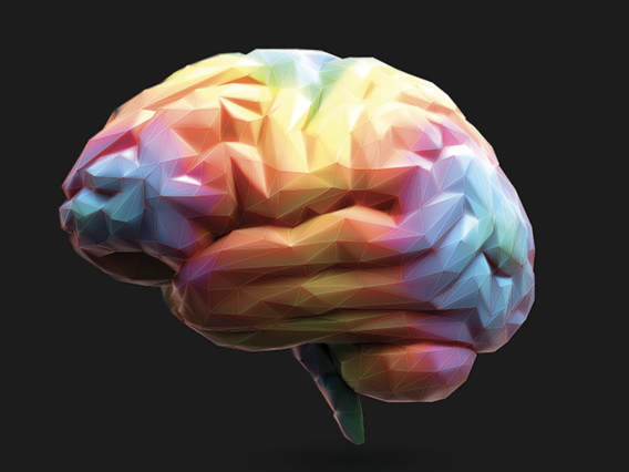 Colorful illustration of the human brain