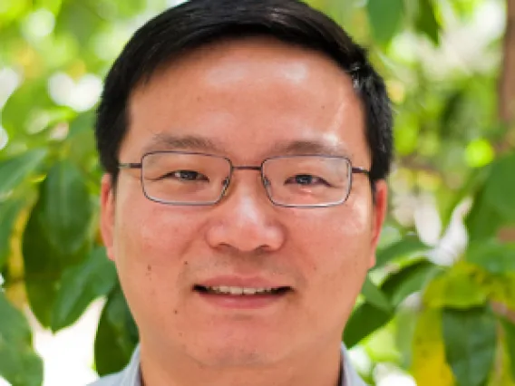 Haining Zhu, Ph.D.