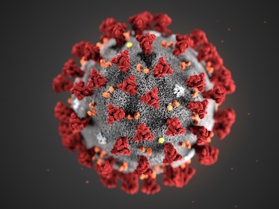 Close up of the Coronavirus