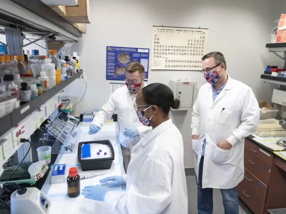 Group of researchers working in a lab together