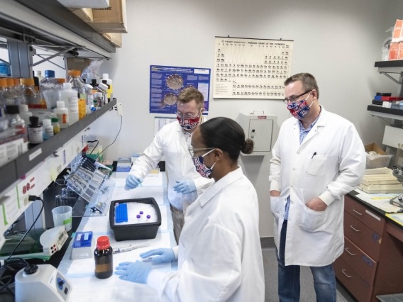 Group of researchers working in a lab together