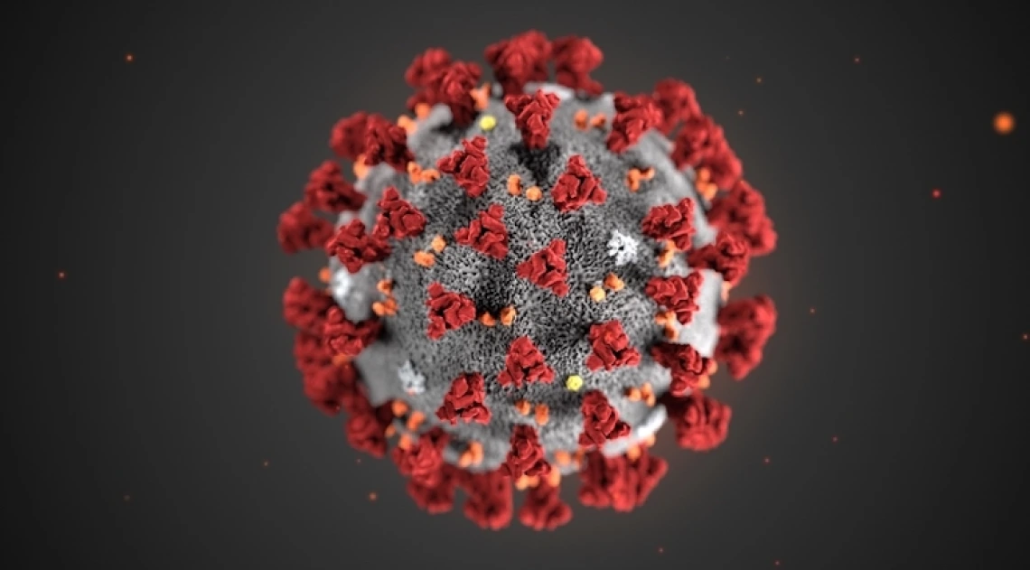 Close up of the Coronavirus