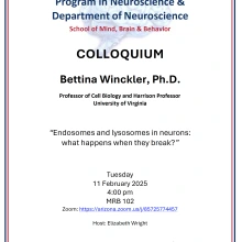 Flyer for talk by Winckler