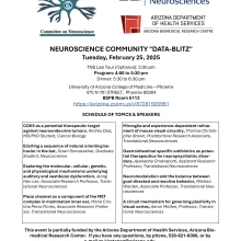 Flyer of Data Blitz