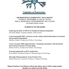 Flyer for Data Blitz