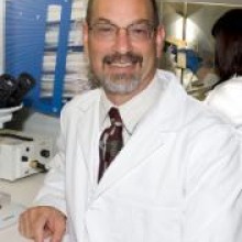 Photo of Scott Sherman, M.D., Ph.D. working in lab